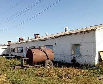 Колос3 (16)